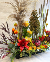 Enchanted Autumn Grove