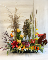 Enchanted Autumn Grove