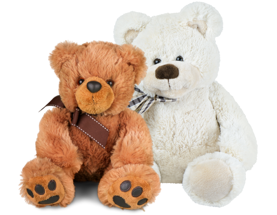 Teddy Bear Downtown Florist