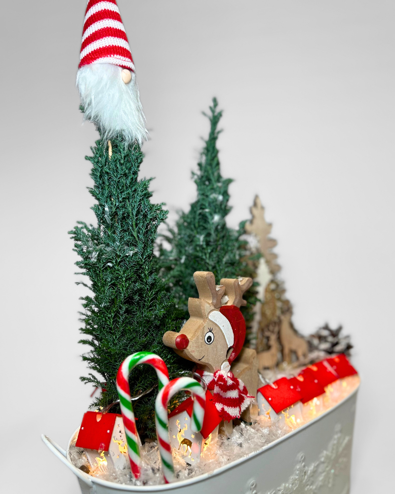 Rudolph's Red Wonderland