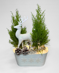 Enchanted Winter Reindeer Arrangement