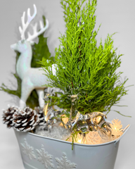 Enchanted Winter Reindeer Arrangement