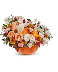 Teleflora's Hello Pumpkin Bouquet