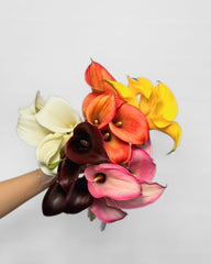 Calla Lilies